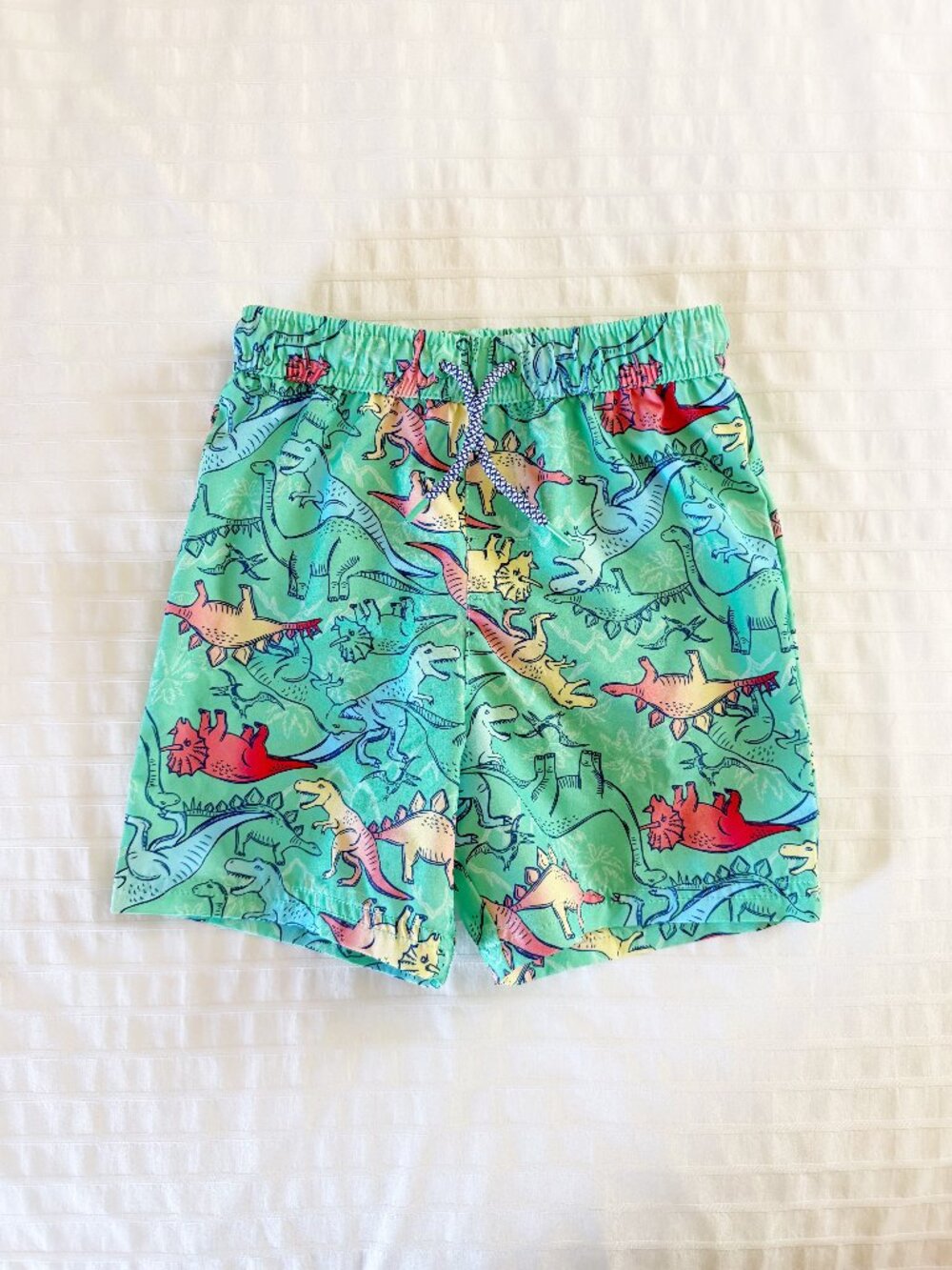 Dinosaur Swim Trunks • 4T